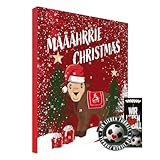 1.FC Köln Spezial Schoko-Adventskalender, Weihnachtskalender mit 25 großen Schoko-Talern mit Einem tollen Vereinsposter und GRATIS Aufkleber