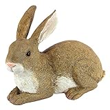 Design Toscano Bashful, der liegende Hase, Liegende Hasenfigur