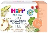 HiPP Mama Bio Schwangerschaftstee (6 x 30g), mit Bio-Kräutern und Bio-Früchten, ohne Zuckerzusatz, mit Hebammen entwickelt