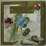Die WIESE - Eine Welt voller Leben (lies + spiel Wissen)