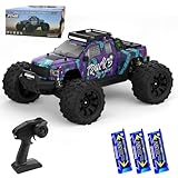 X-Verse 1:14 100KM/H Ferngesteuertes Auto, 4WD Wasserdichtes RC Autos mit 3S Bürstenloser Motor, 2.4GHz All Terrain Offroad RC Truck Truggy für Erwachsene,3 Batterien(lila)