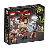 LEGO Ninjago Movie Spinjitzu Training 70606 (109 Teile)