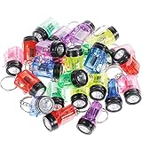 GOLDGE 24Pcs Schlüsselanhänger Taschenlampe Mini Lampe 4cm