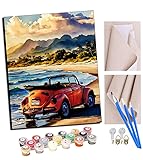 TUDOUTU DIY Malen nach Zahlen-Ölgemälde Geschenk für Erwachsene Käfer am Strand Malen Nach Zahlen Kits Wohnzimmer Schlafzimmer Wanddekoration 16 * 20inch(Mit Rahmen)