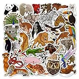 ZELAITE 50 Stück Wilde Tiere Aufkleber Tiere Stickers für Kinder Junge, wasserdichte Vinyl Stickers Set für Wasserflaschen, Fahrrad, Roller, Helm, Notebook, Kindergeburtstag (E)