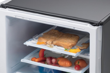Praktische Lösungen: Dometic Kühlschrank Ersatzteile für die Gefrierfachklappe